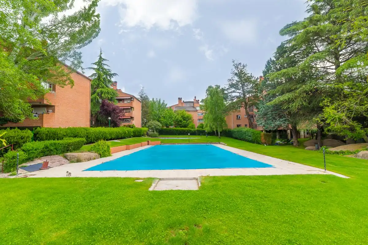 Swimming pool of Flat for sale in Galapagar  with Terrace and Community pool