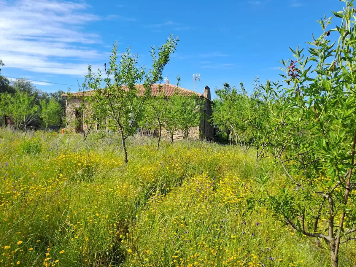 Finca rústica en venta en de la estacion, Cumbres Mayores