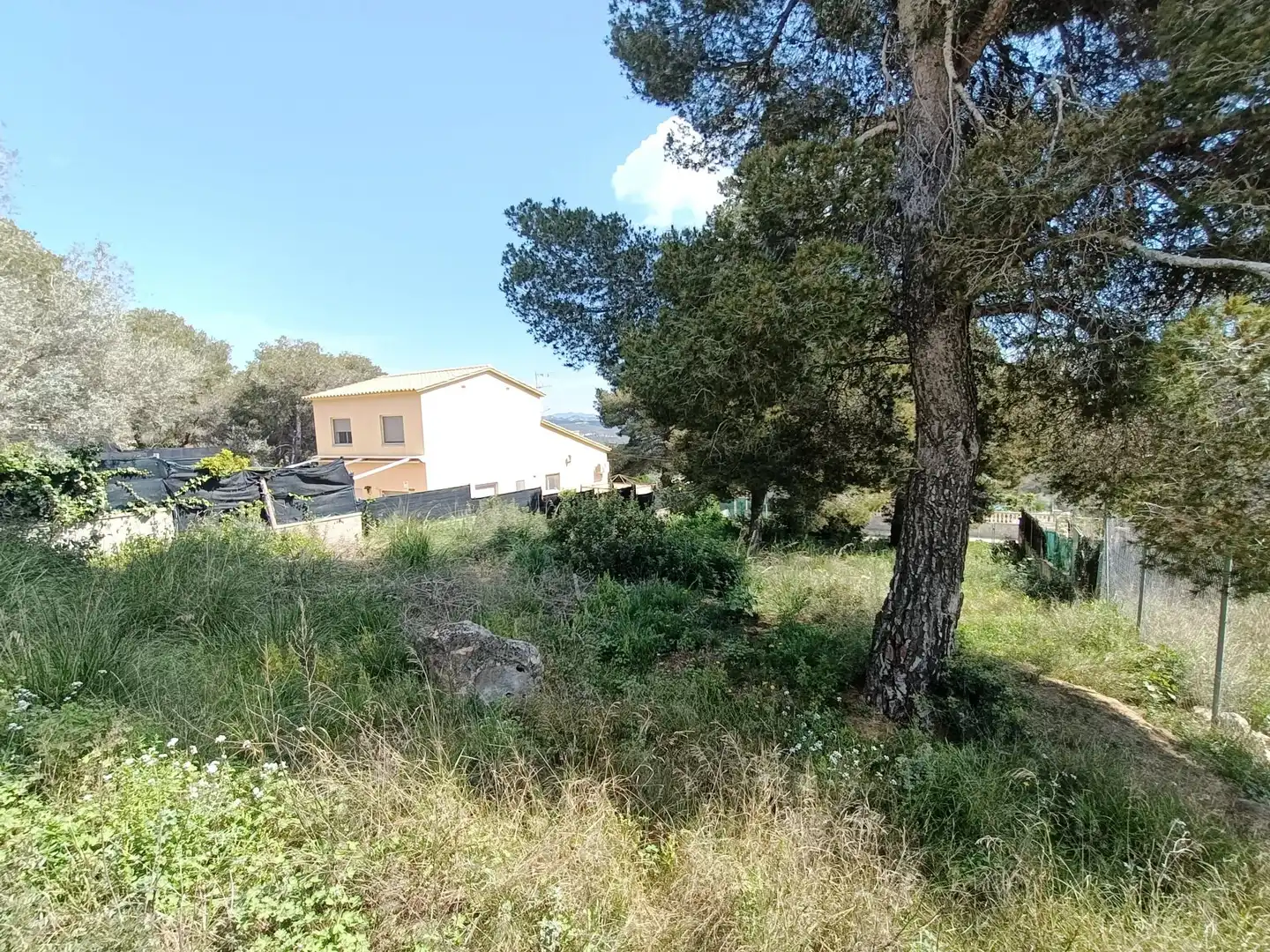 Terreno residencial en venta en Carrer CAMI DE LA VALL 3, imagen 6