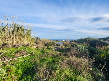 Terrenos y solares en venta en Costa Natura