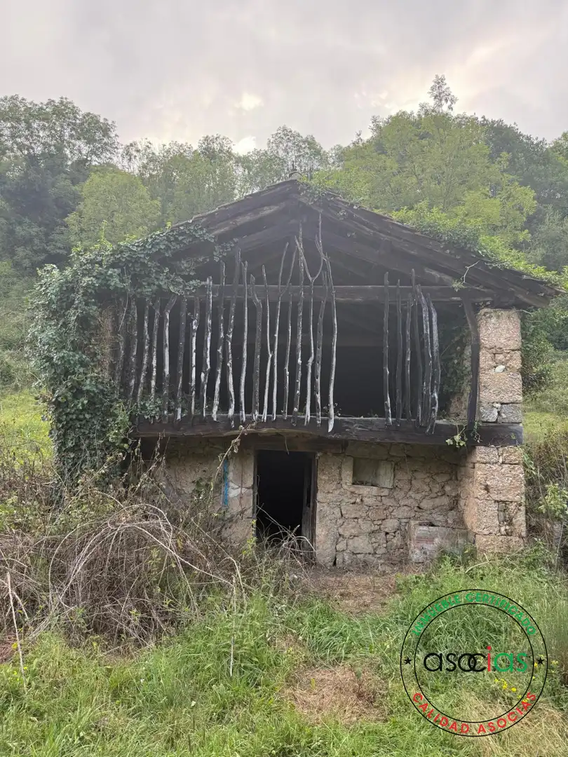 Exterior view of Land for sale in Quirós