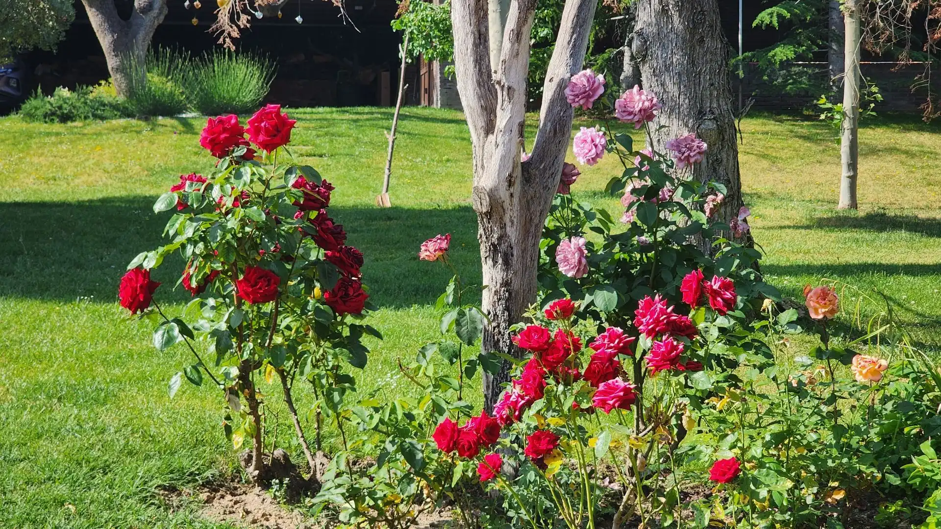 Jardín de Casa o chalet en venta en Villaviciosa de Odón con Aire acondicionado, Calefacción y Terraza