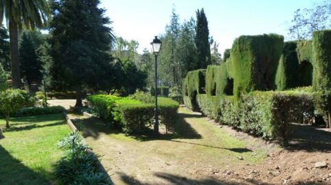 Foto 3 de Pis en venda a C. Atanor, Aracena, Huelva