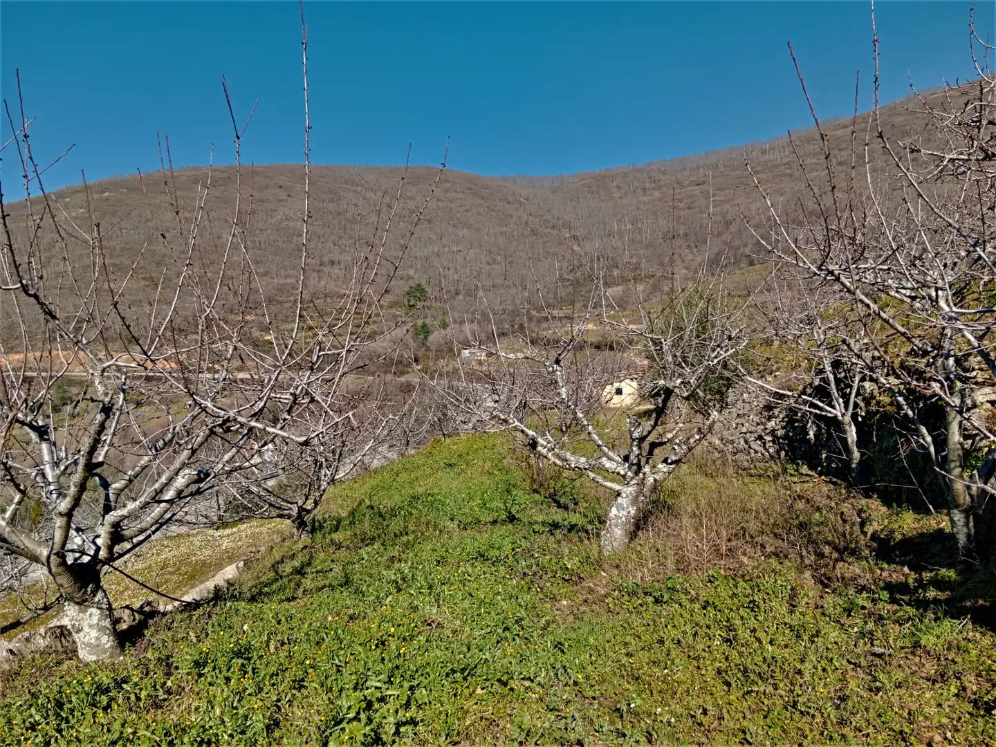 Terreni e lotti in vendita a Barrado, imagen 19