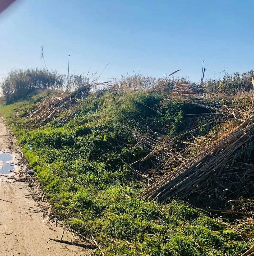 Rustikales Grundstück zum Verkauf in Malgrat de Mar, imagen 6
