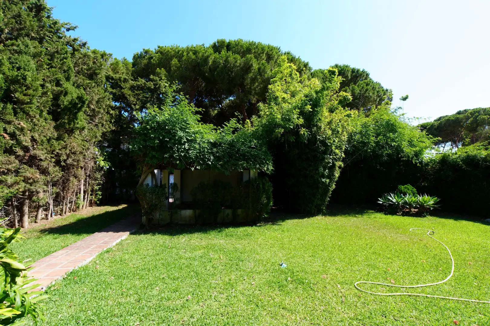 Jardín de Casa o chalet en venta en Marbella con Jardín privado, Terraza y Amueblado