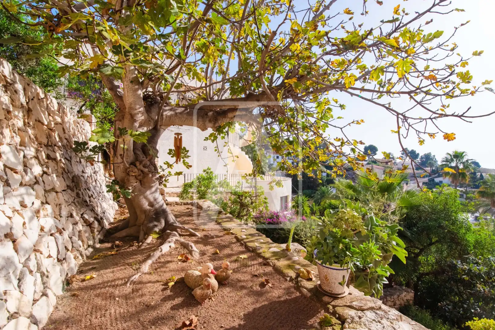 Villa con piscina in vendita a La Viña - Montemar - San Jaime, imagen 44