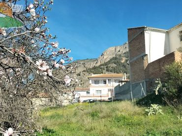Terreni e lotti in vendita a Moclín
