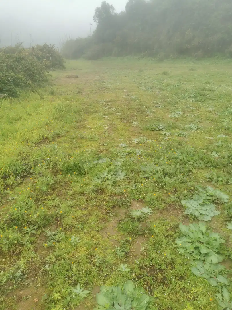 Land for sale in Santa Cruz de Tenerife