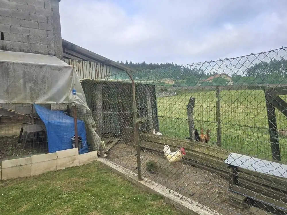 Garden of Country homes for sale in Narón  with Heating, Private garden and Storage room