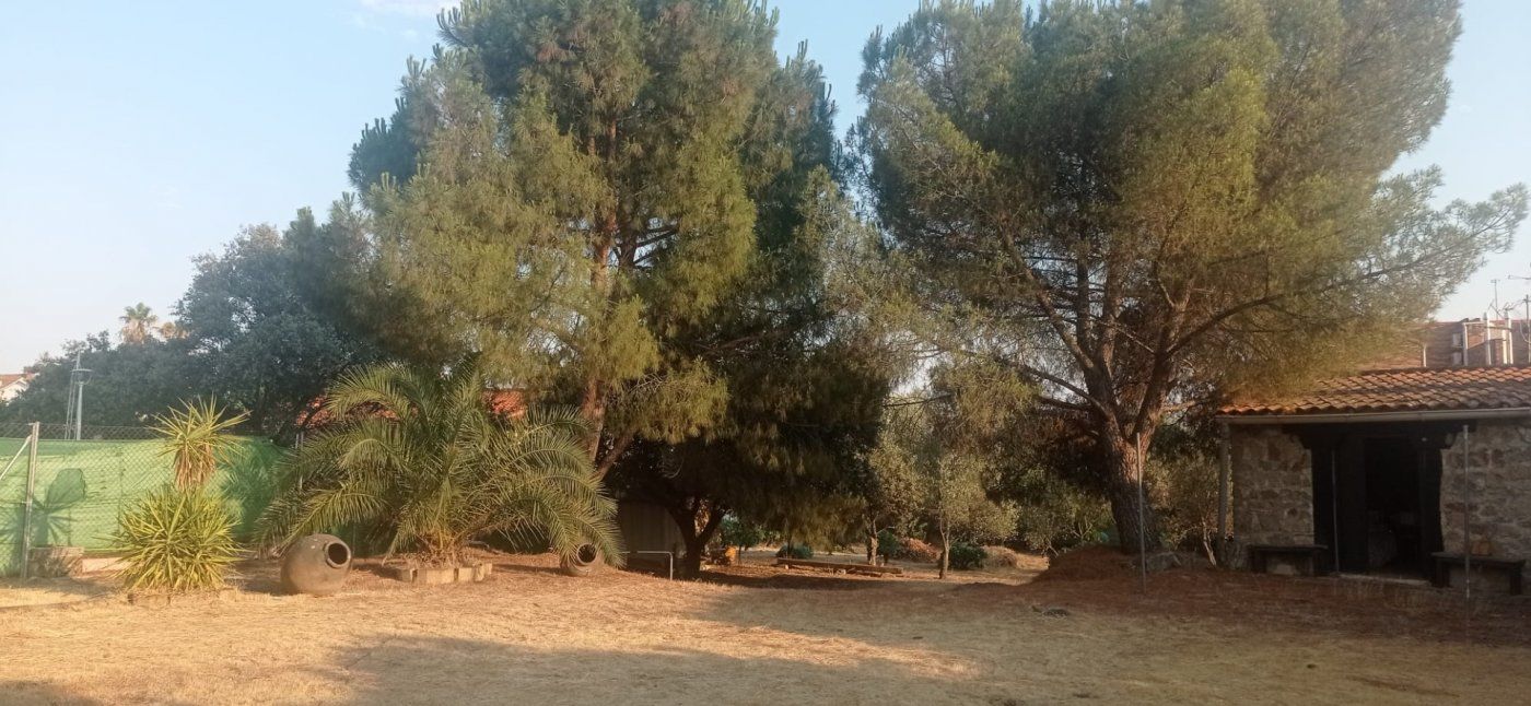 Jardí de Casa o xalet en venda en Malpartida de Cáceres