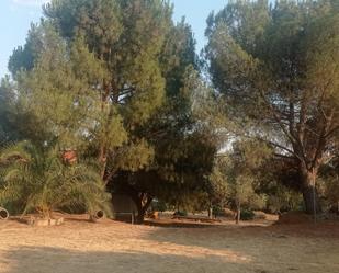 Jardí de Casa o xalet en venda en Malpartida de Cáceres