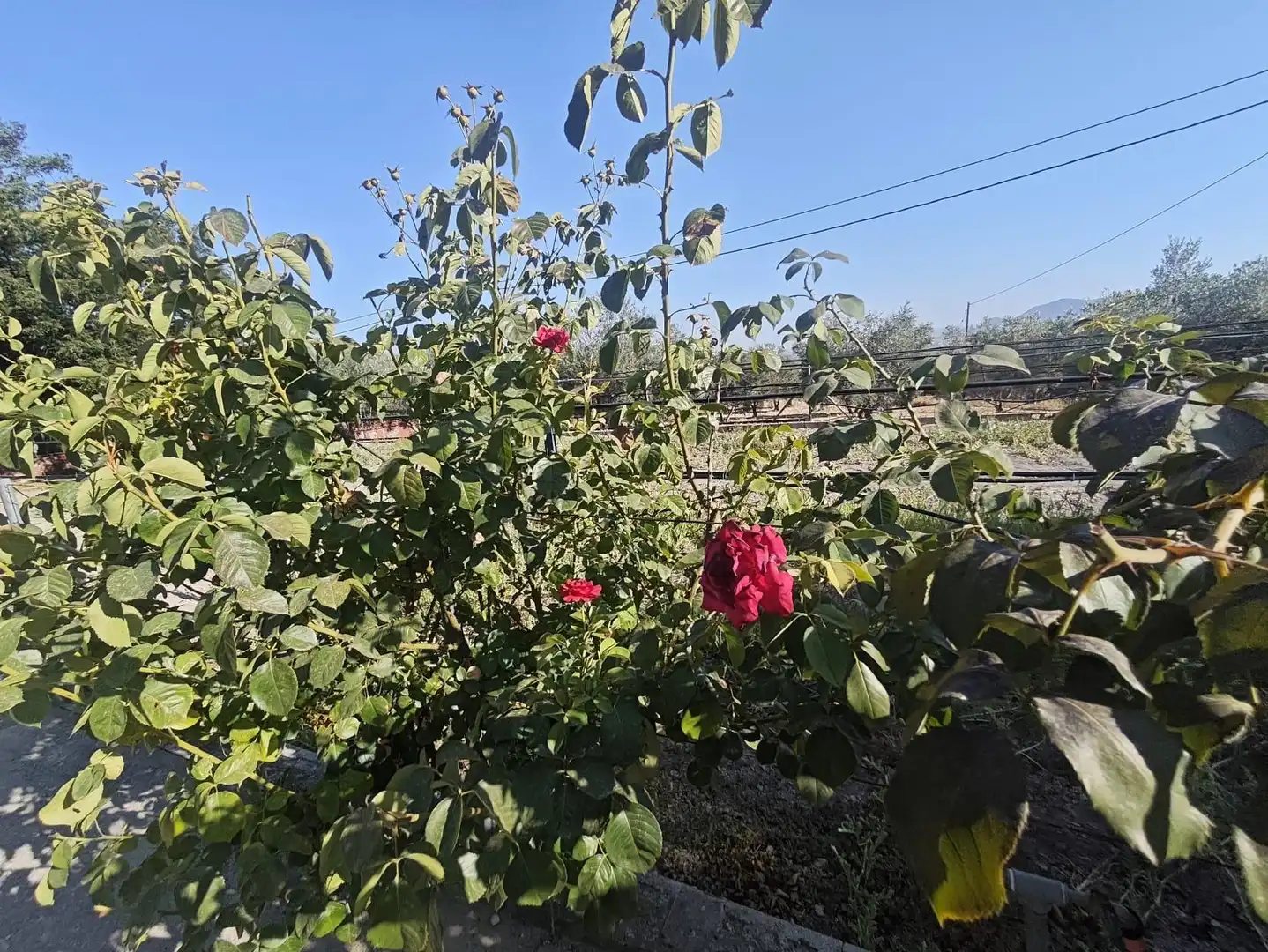 Country homes for sale in Sax  with Private garden, Storage room and Swimming Pool