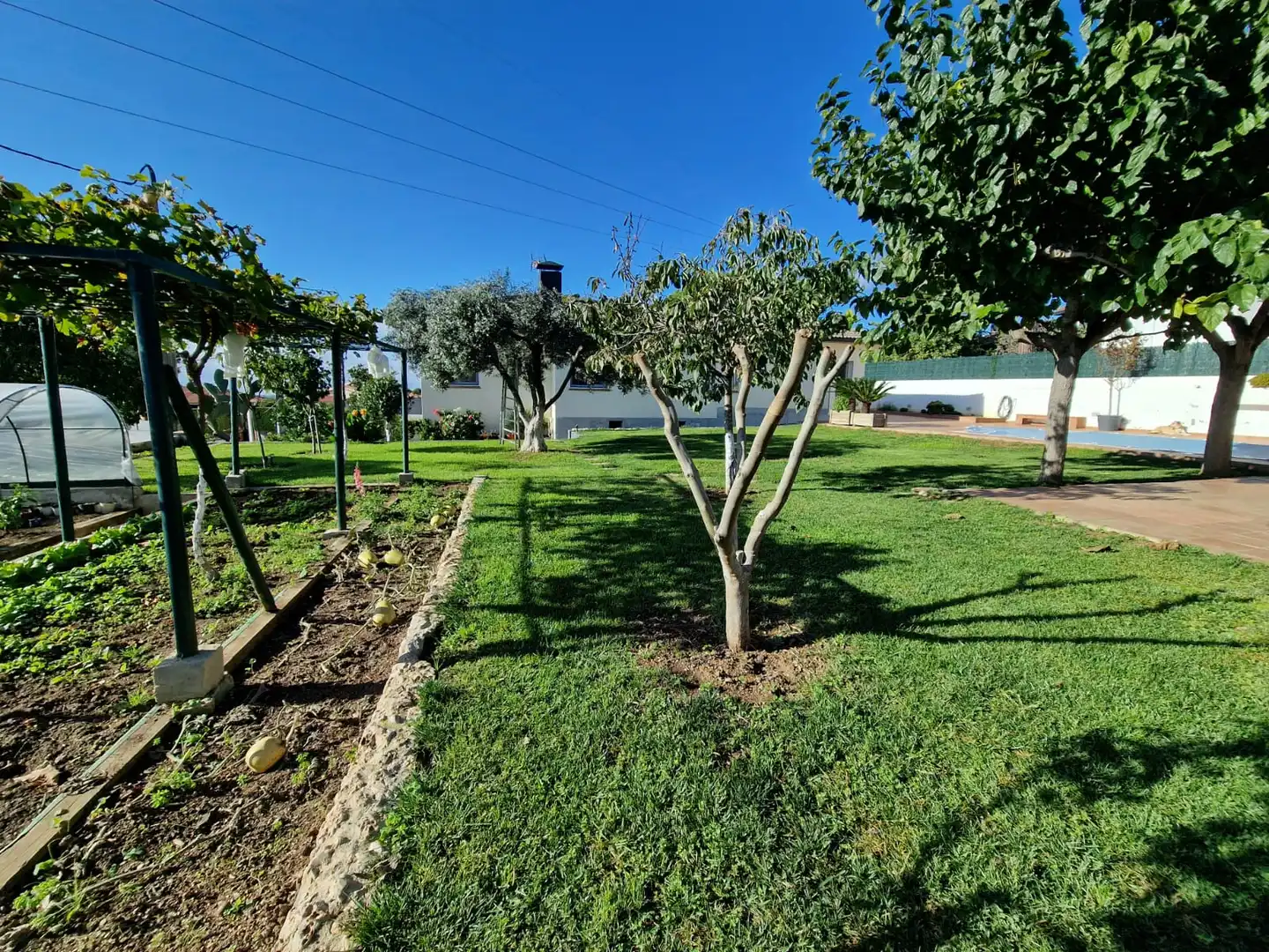 Jardín de Casa o chalet en venta en Sant Pere de Vilamajor con Aire acondicionado, Calefacción y Jardín privado