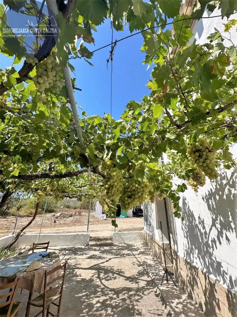 Casa rústica amb jardí en venda a Vélez-Blanco, imagen 4