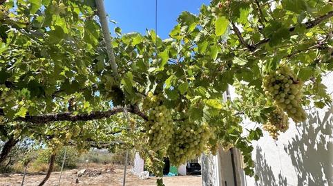 Foto 4 de Finca rústica en venda a N/a, -1, Vélez-Blanco, Almería