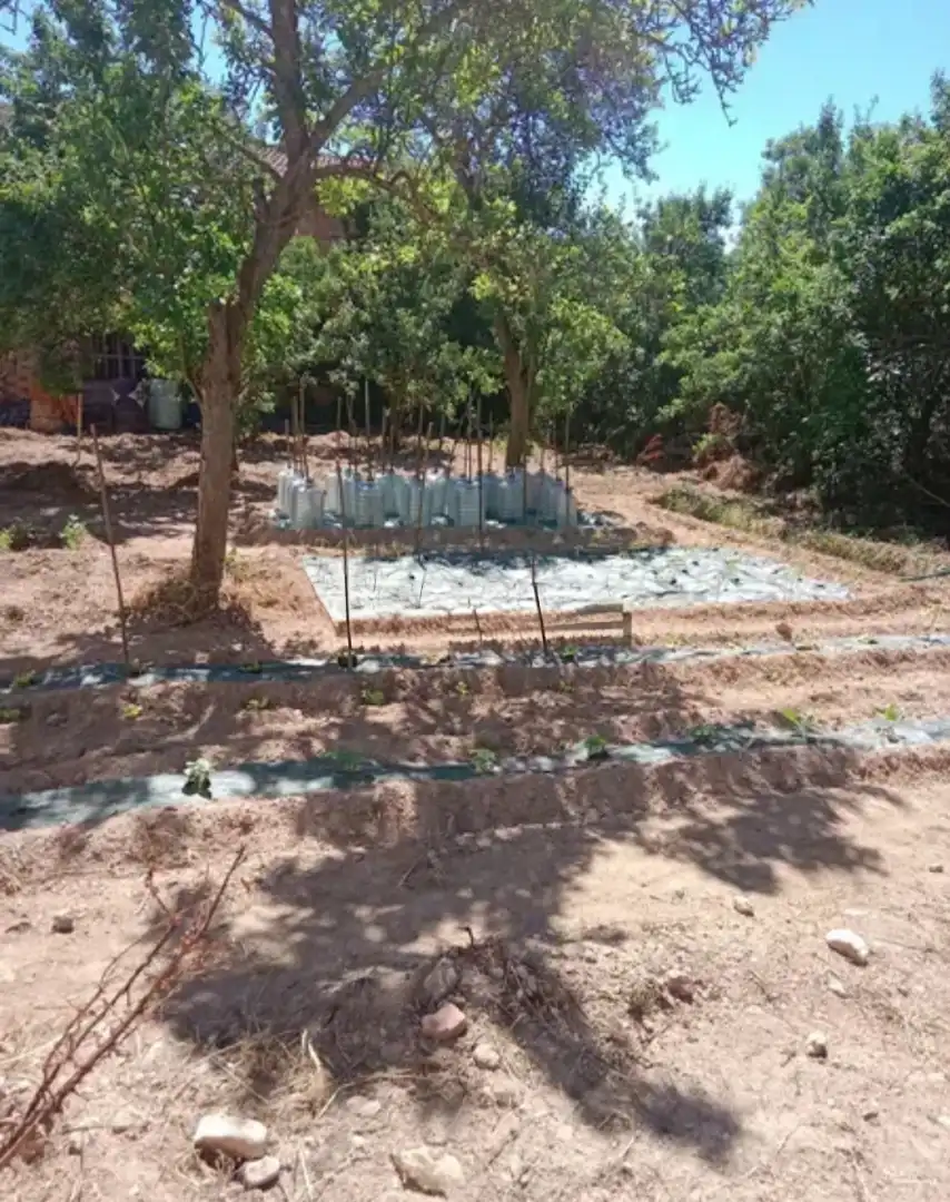 Garden of Country homes for sale in Aguas Cándidas  with Private garden