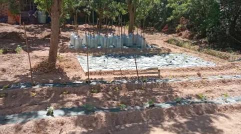 Photo 3 of Country house for sale in Aguas Cándidas, Burgos