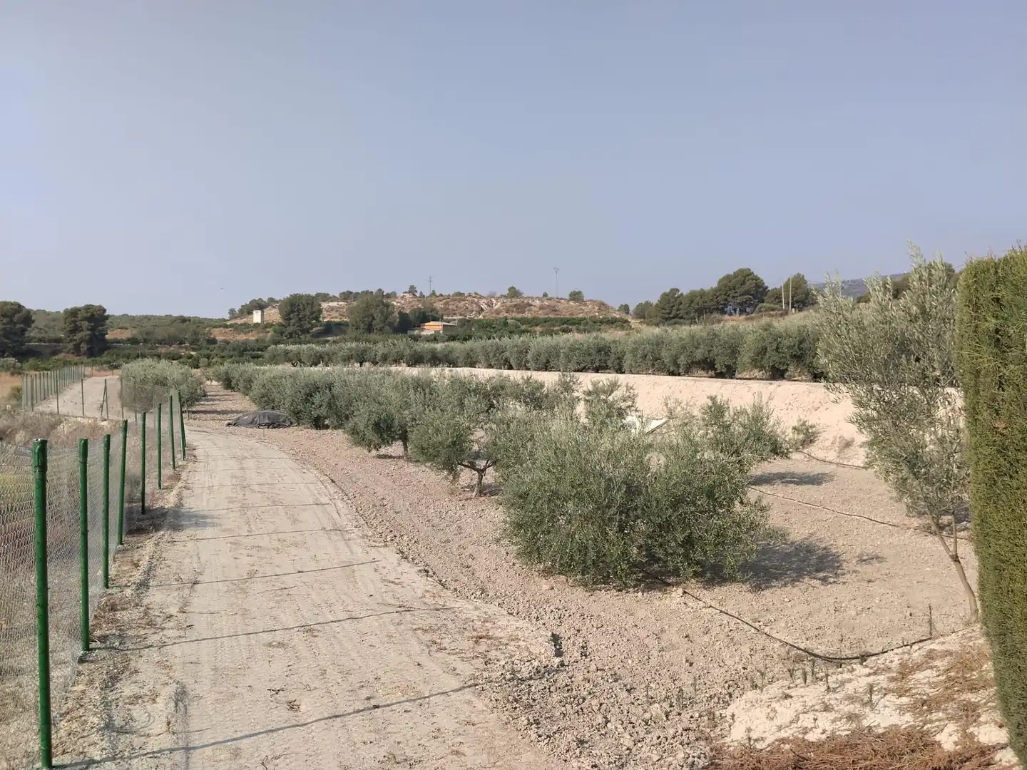 Maison rustique à vendre à Alhama de Murcia ciudad, imagen 22