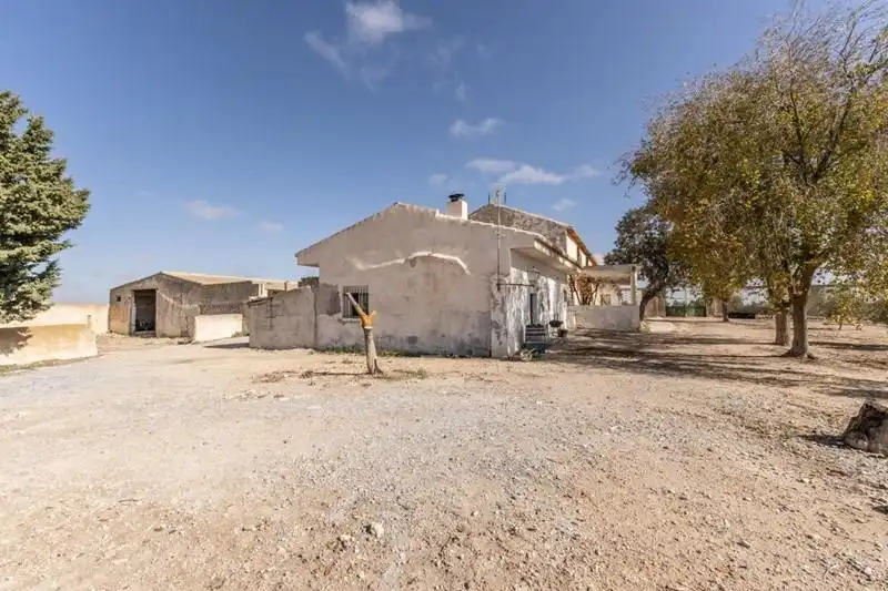 Land for sale in Alamedilla