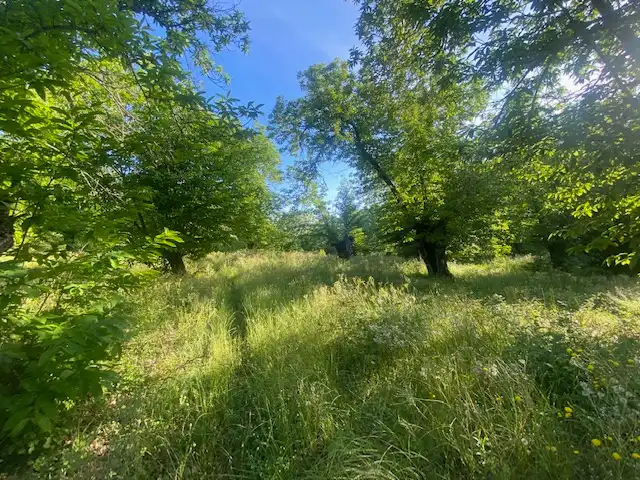 Terreni e lotti in vendita a Fuenteheridos, imagen 5