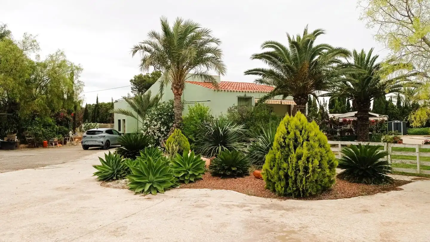 Vista exterior de Finca rústica en venda en Elche / Elx amb Jardí privat, Terrassa i Piscina