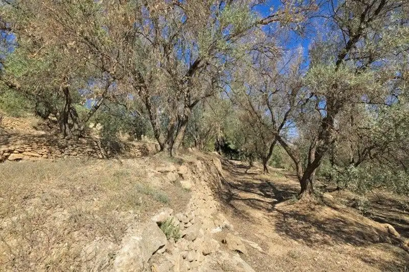 Terreno rustico in vendita a El Pinar, imagen 16