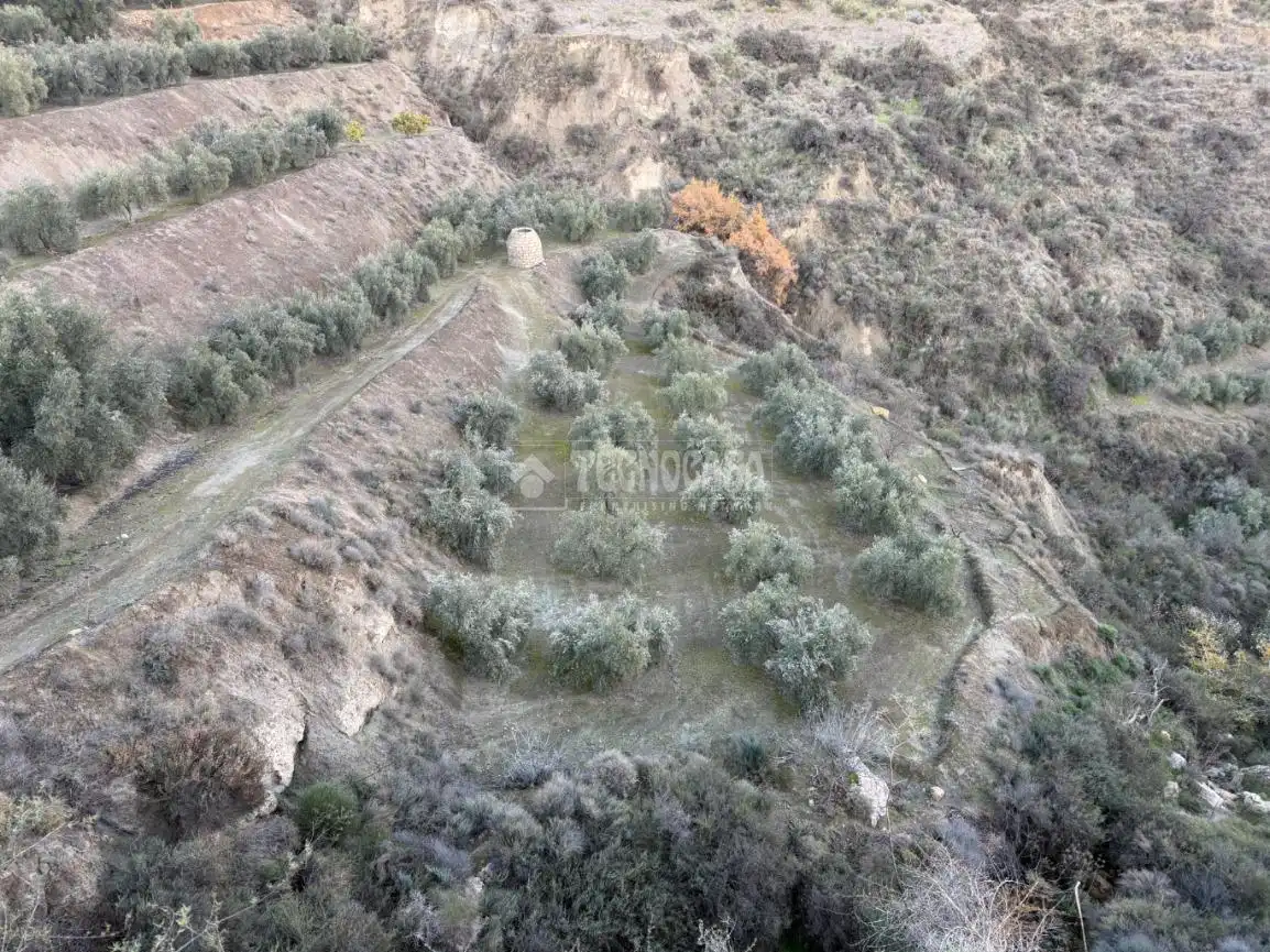 Terreno rustico in vendita a El Valle, imagen 14