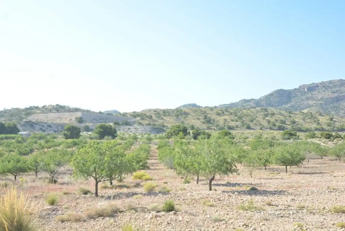 Terreni e lotti in vendita a Campo de Murcia, imagen 27
