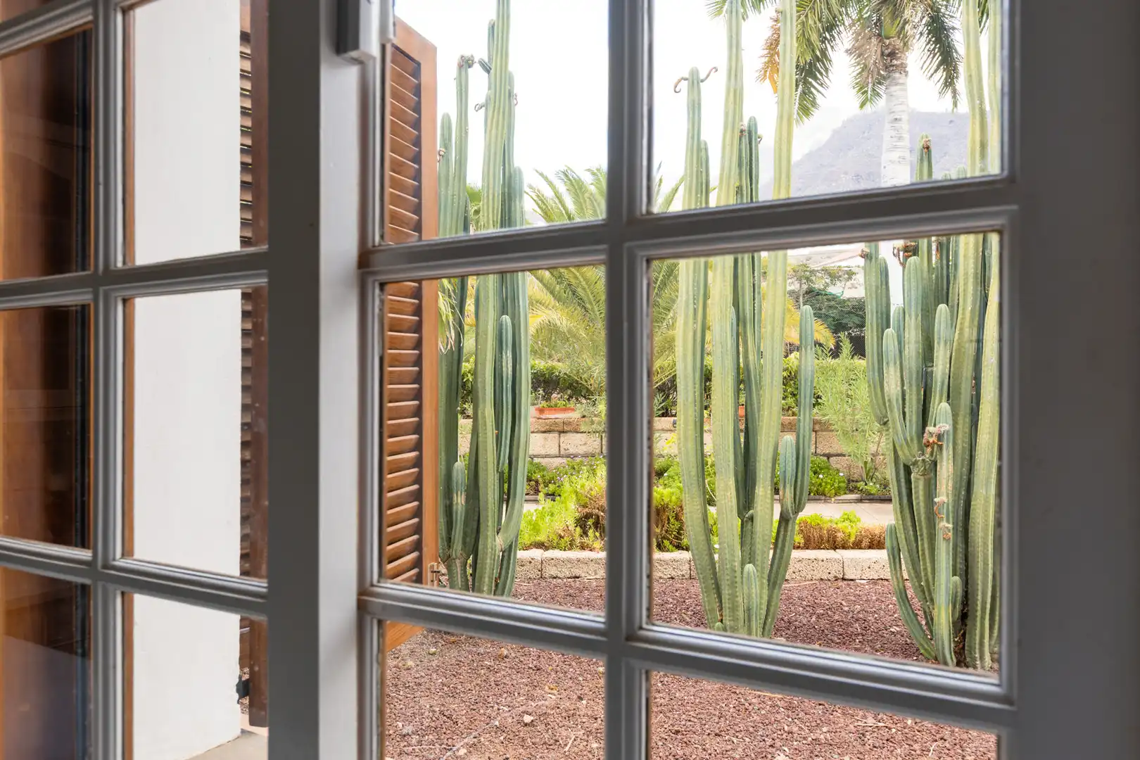 Jardí de Casa o xalet en venda en Candelaria amb Aire condicionat, Jardí privat i Terrassa