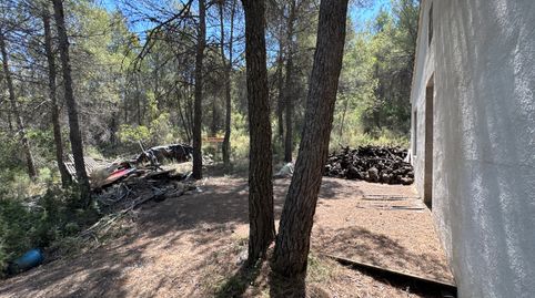 Finca Rústica de 82 Ha en Sierra de Burete, Cehegín | Vivienda, Almendros, Agua y Vistas Espectaculares, immagine 5