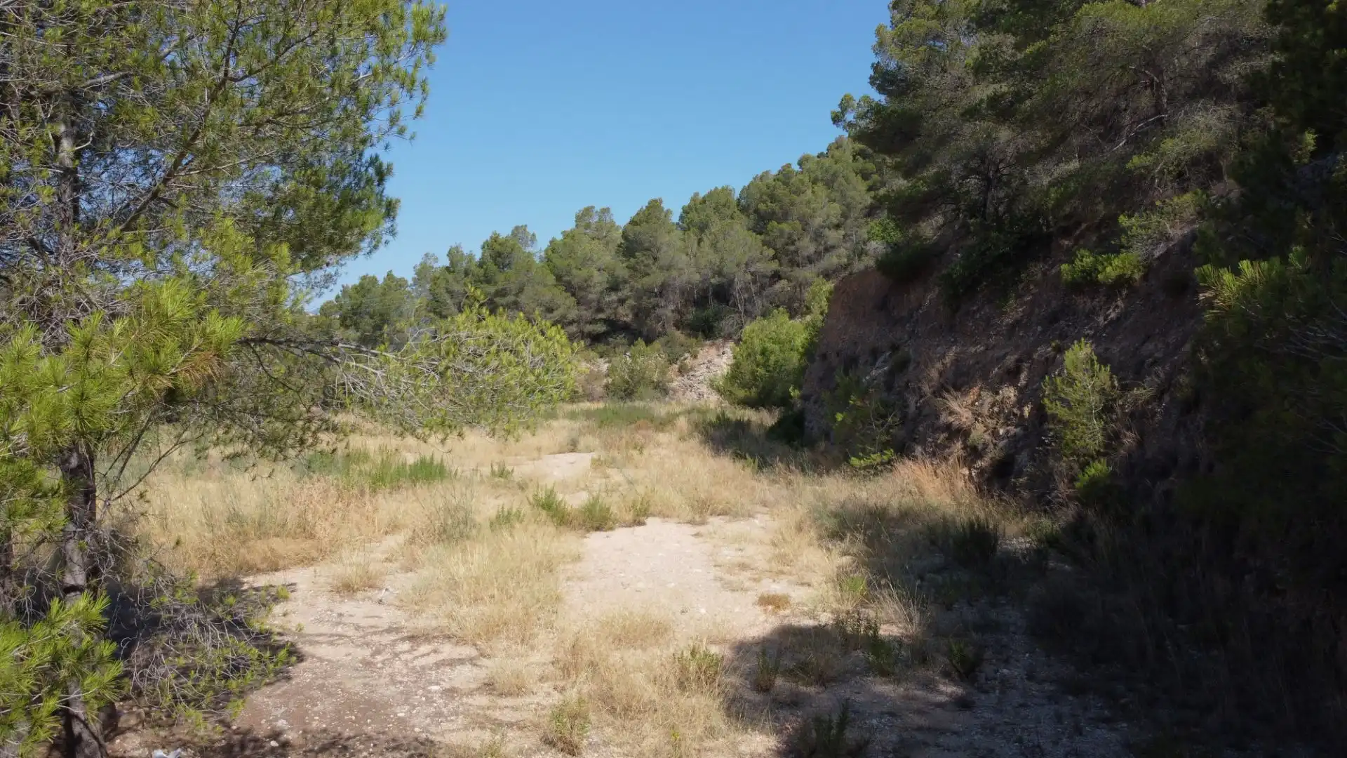 Terrenys i solars en venda a Callosa d'en Sarrià, imagen 8