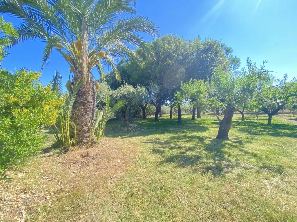 Houses for sale in Borriol, Castellón