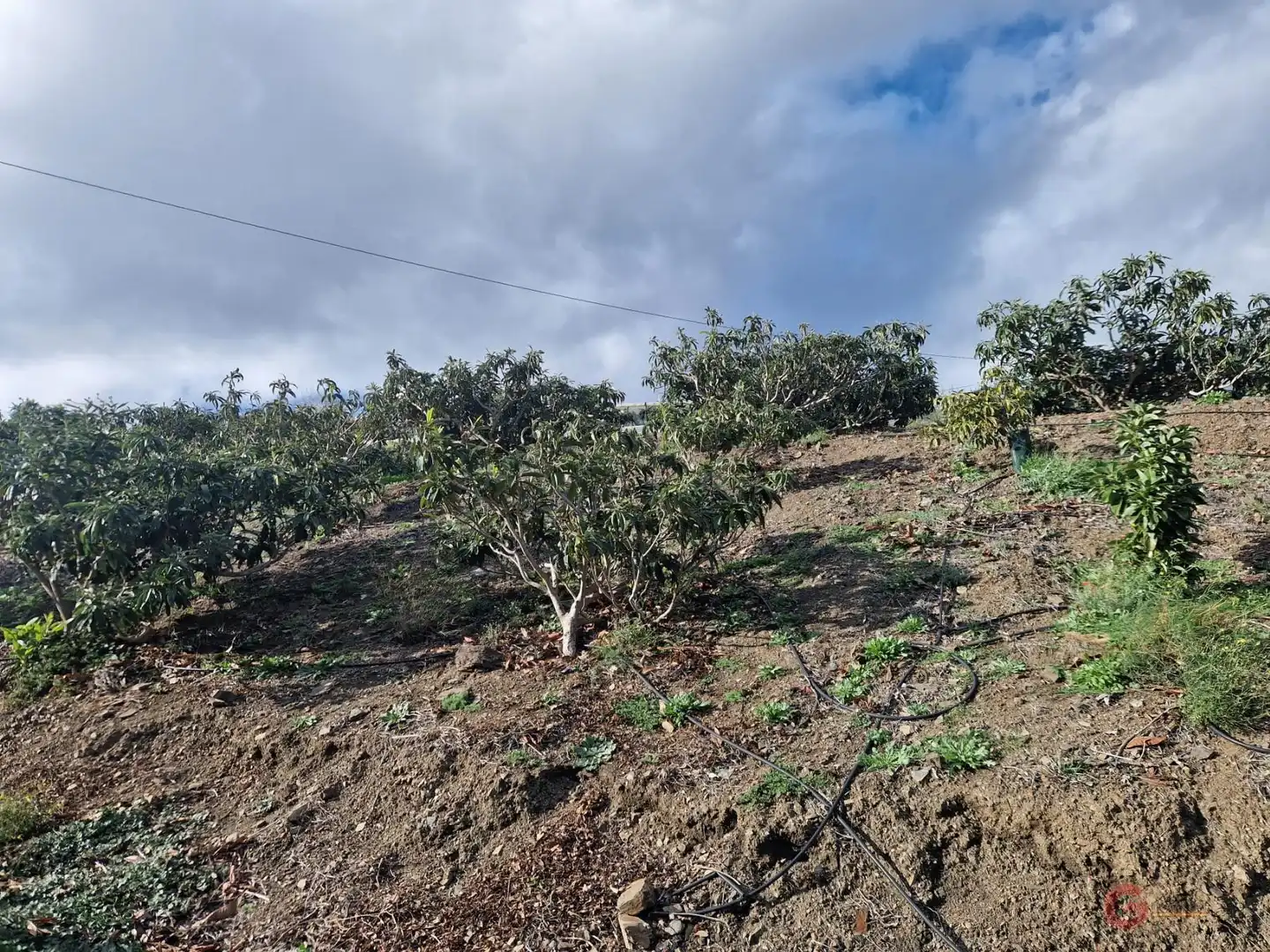 Finca rústica en venda a Ítrabo