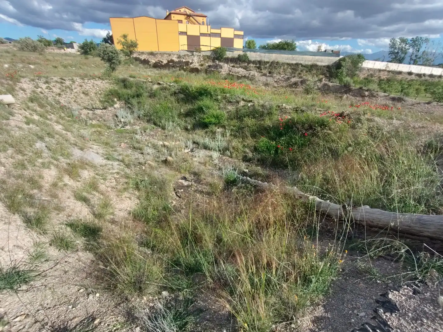 Rustikales Grundstück zum Verkauf in Carretera Murcia