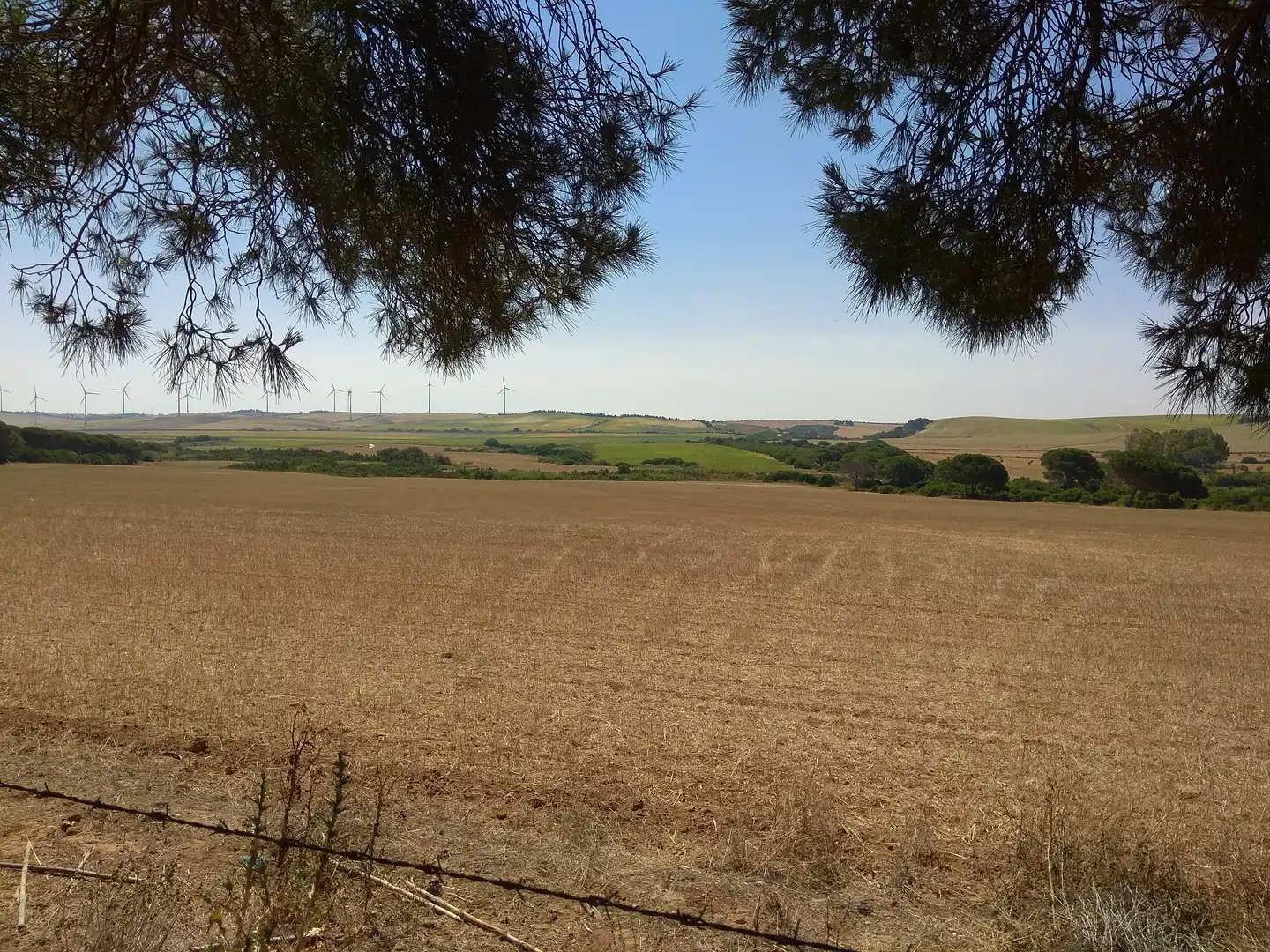 Terreno rustico in vendita a Puntales - Zona Franca