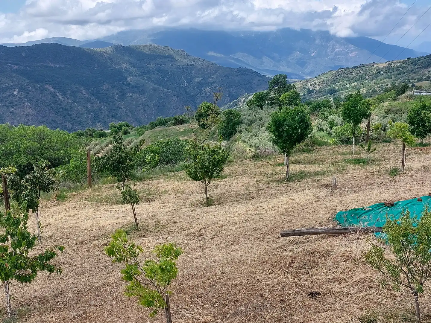 Land for sale in Pórtugos