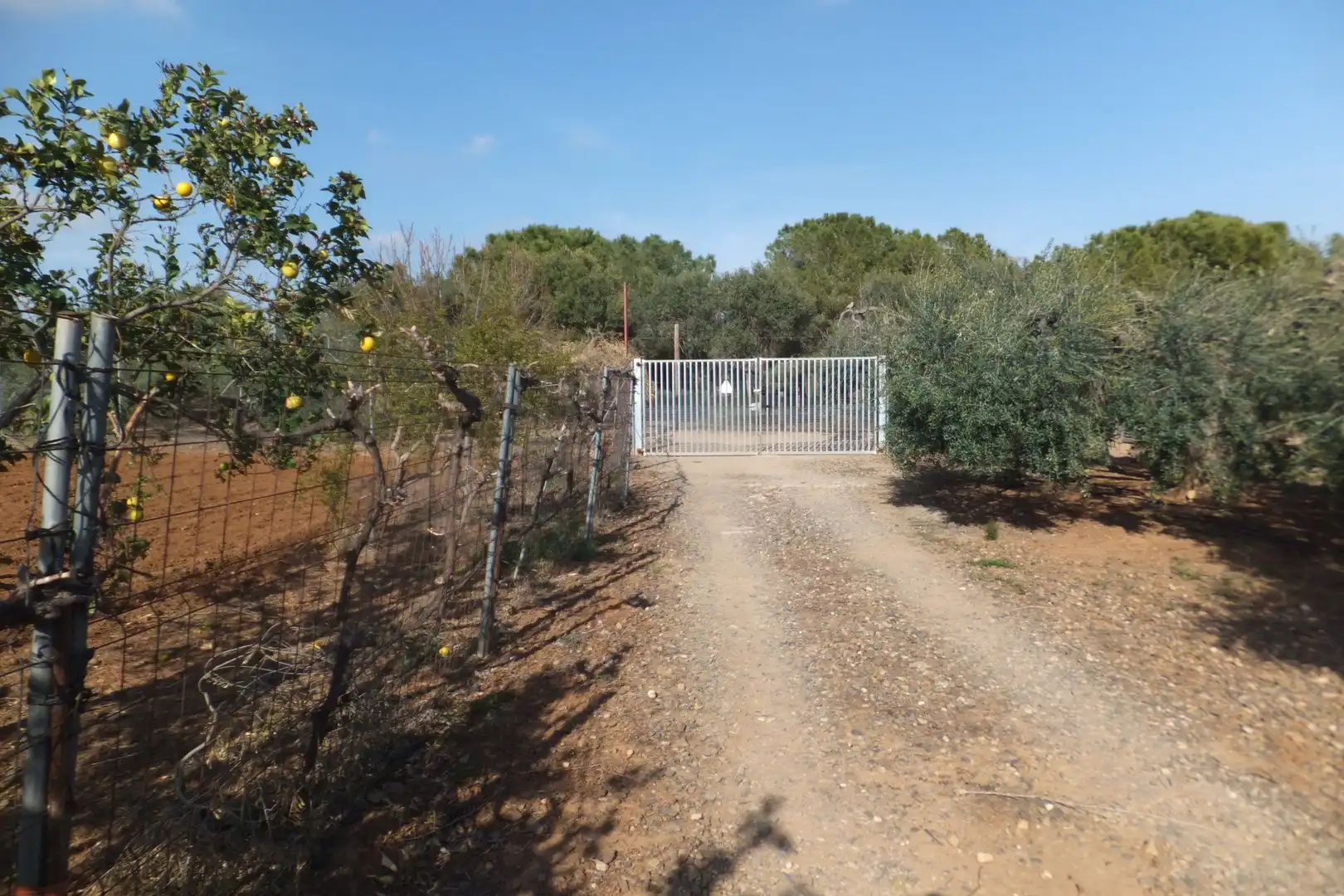 Terreno residencial en venta en Riudoms, imagen 41
