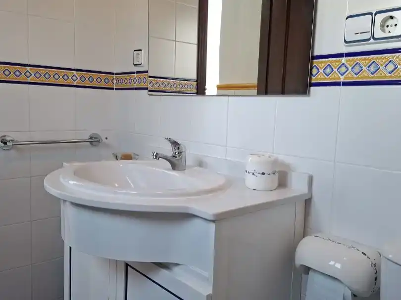 Bany de Pis en venda en Bornos amb Aire condicionat, Jardí privat i Moblat