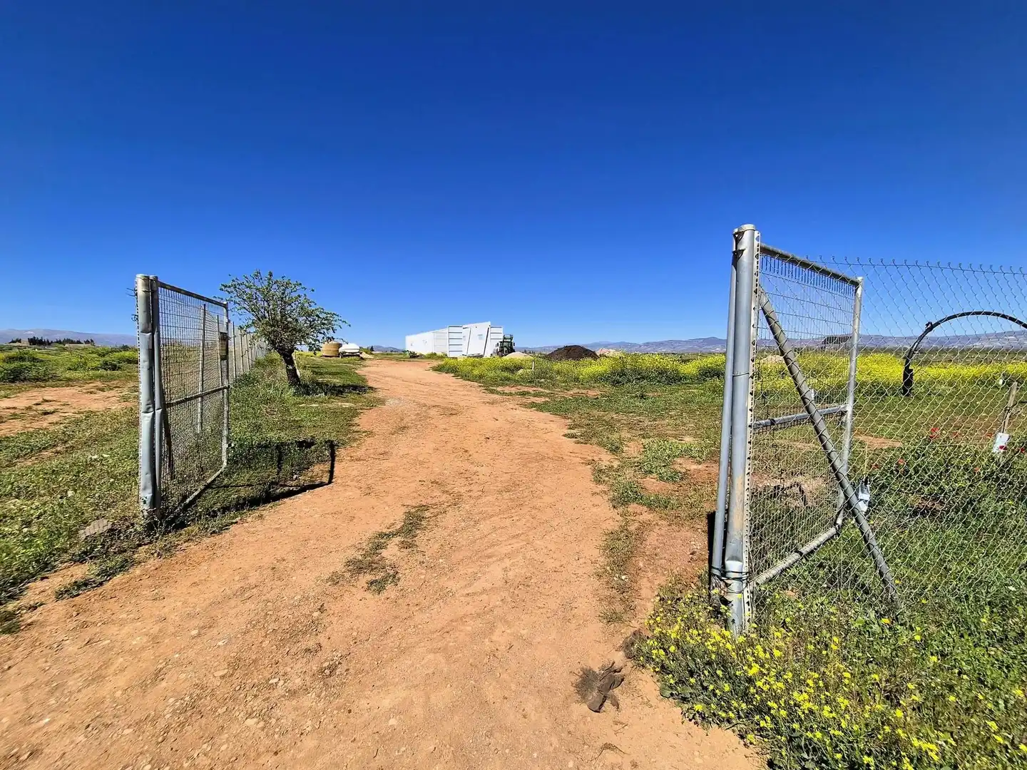 Terreny rústic en venda a Moraleda de Zafayona, imagen 21