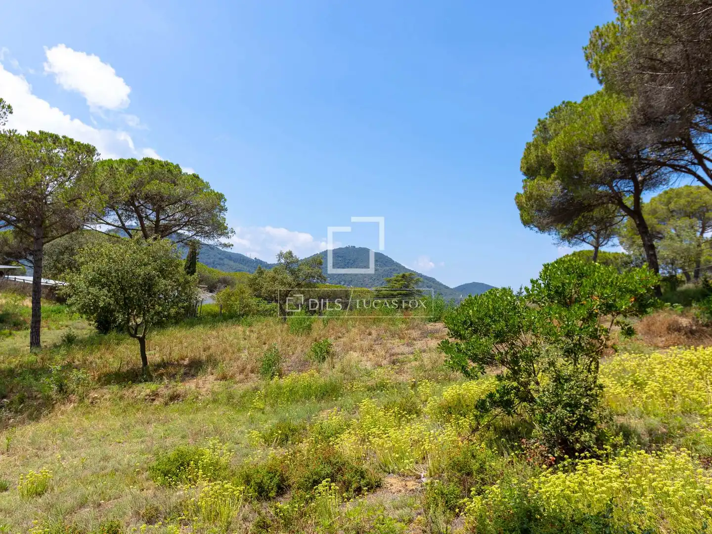 Rural land for sale in Vallromanes, imagen 3