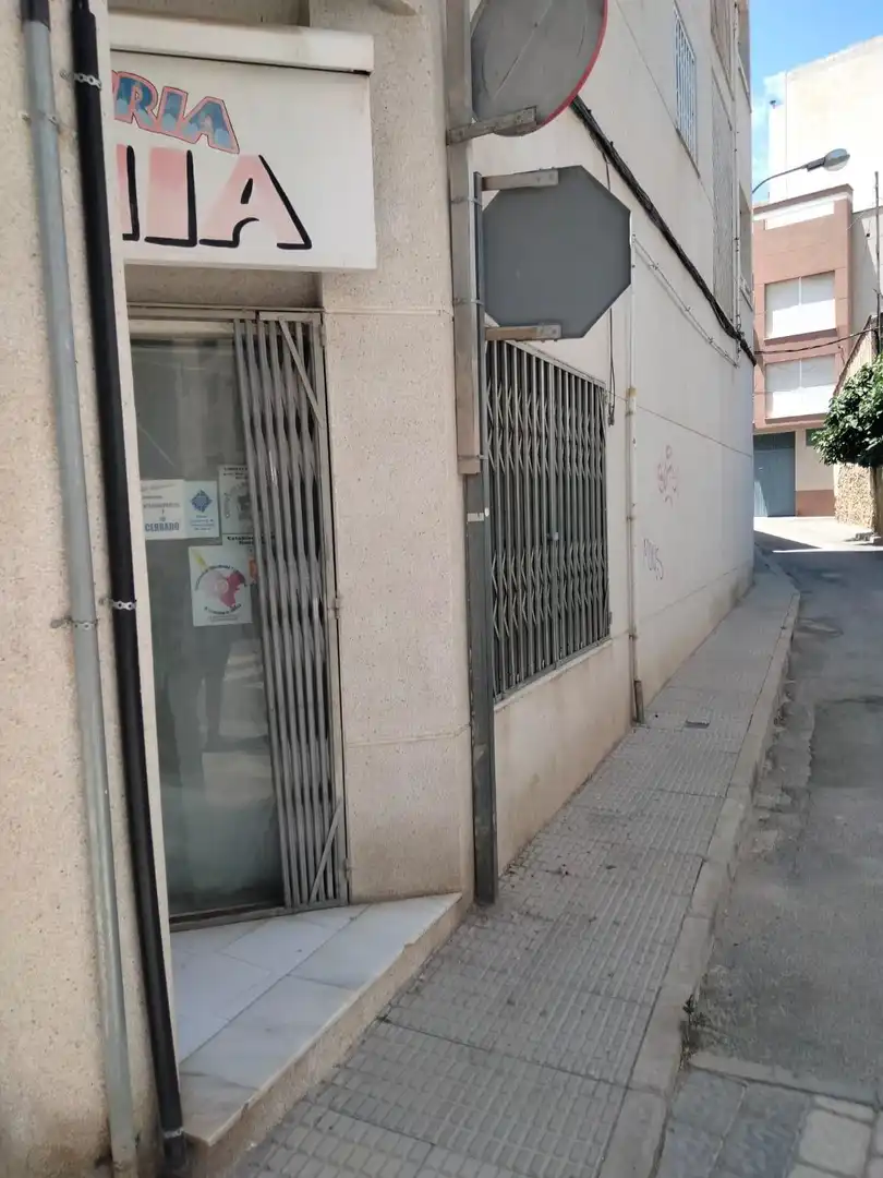 Business premises for sale in Valle de Yerri / Deierri, imagen 2