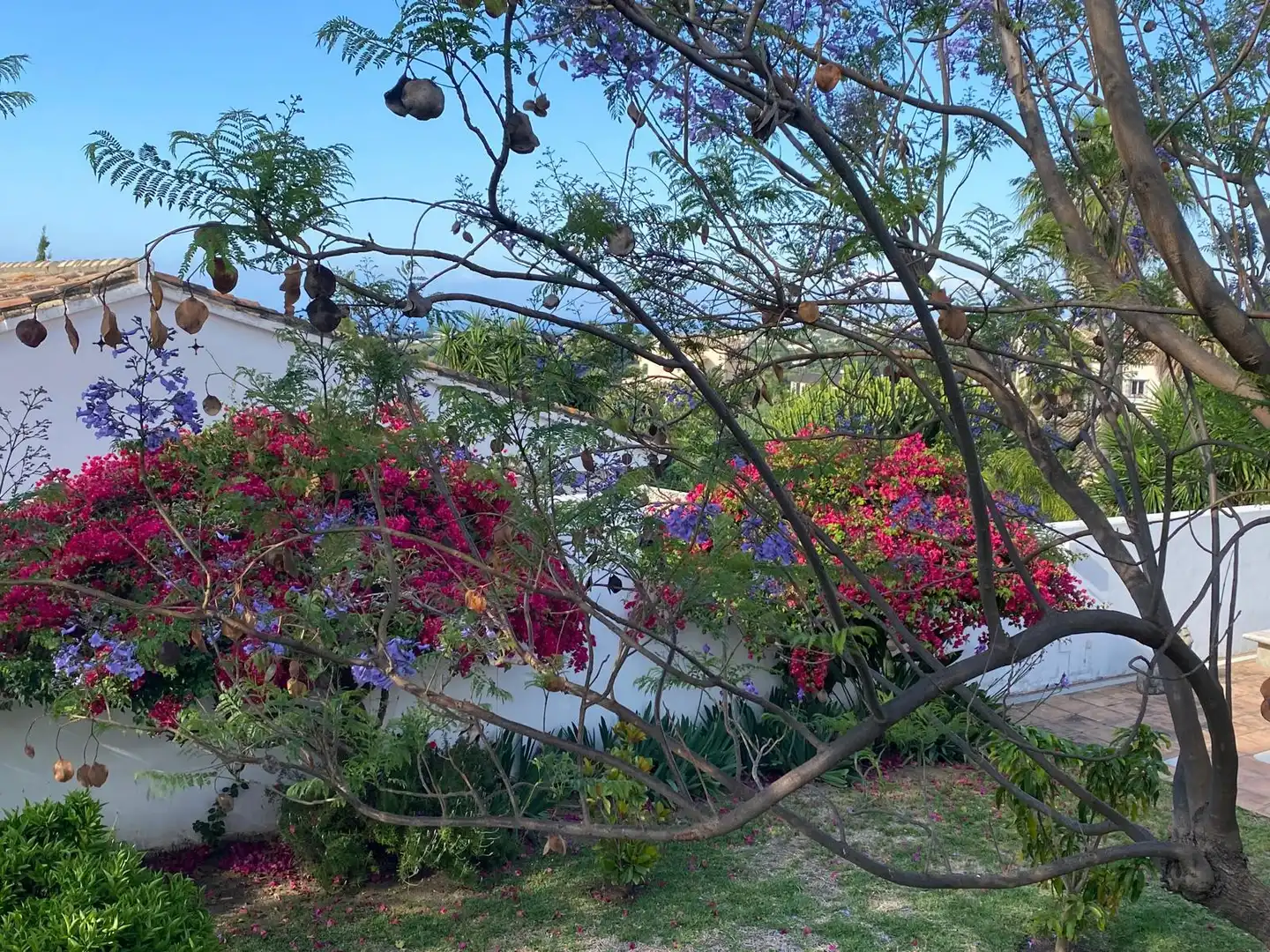 Casa amb piscina en venda a Selwo, imagen 50
