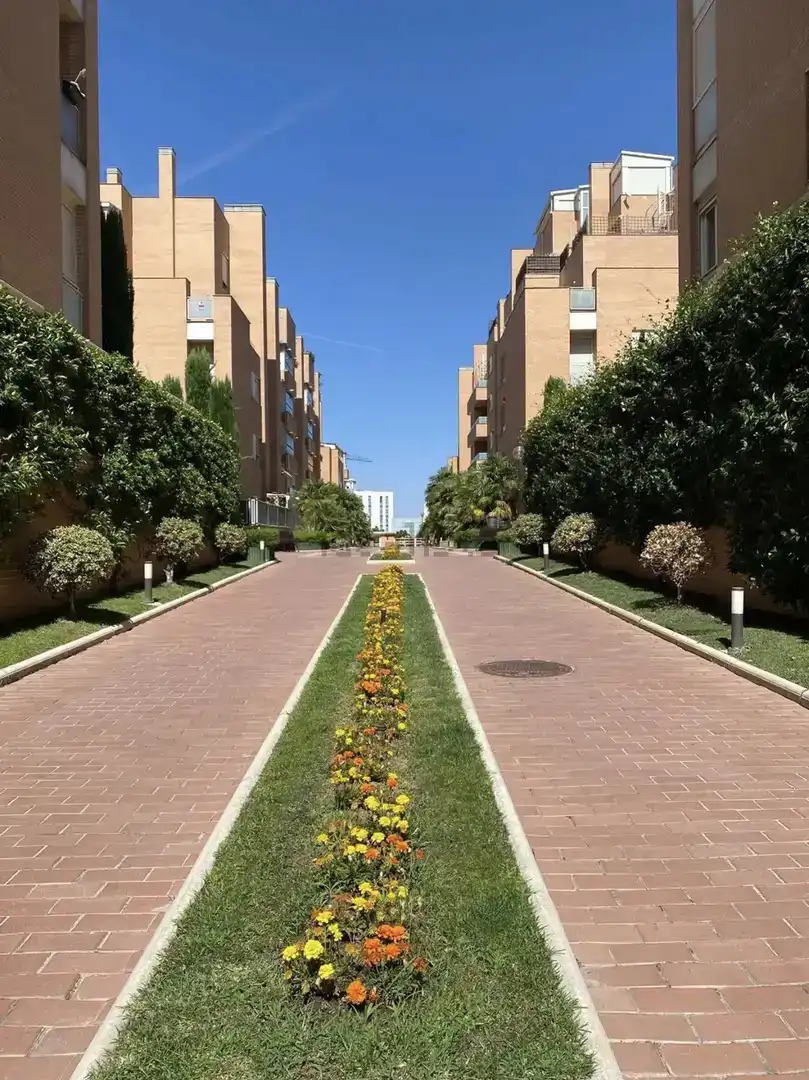 Vista exterior de Àtic en venda en La Moraleja amb Aire condicionat, Jardí privat i Parquet
