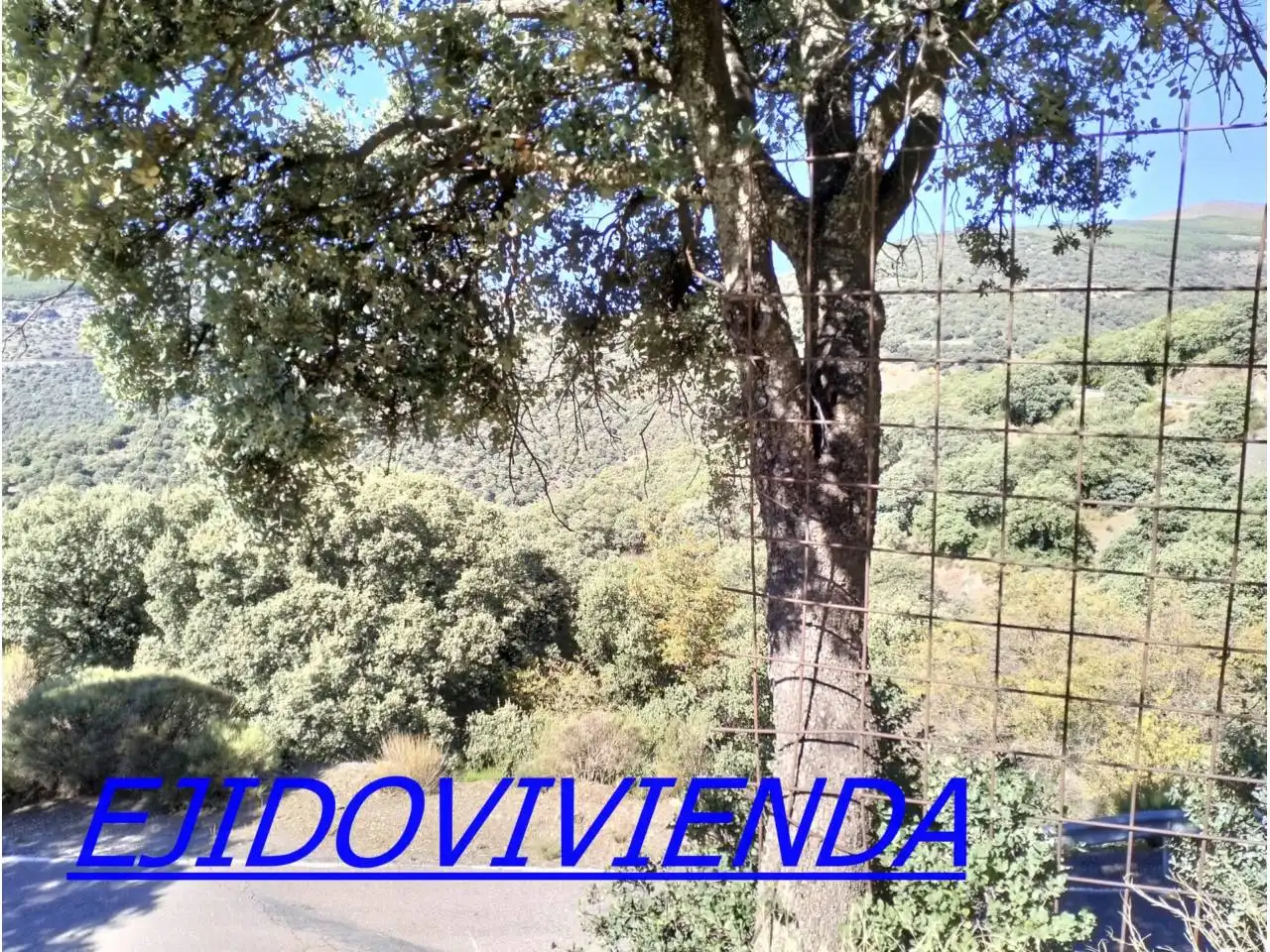 Vista exterior de Terreno en venta en Bayárcal