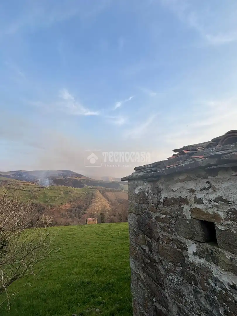 Finca rústica en venta en Selaya