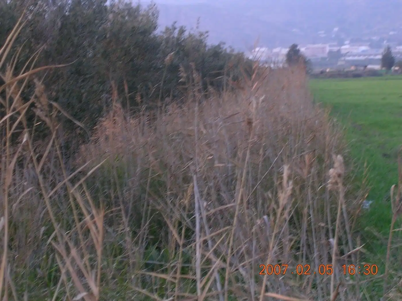Industrial land for sale in Alhama de Murcia
