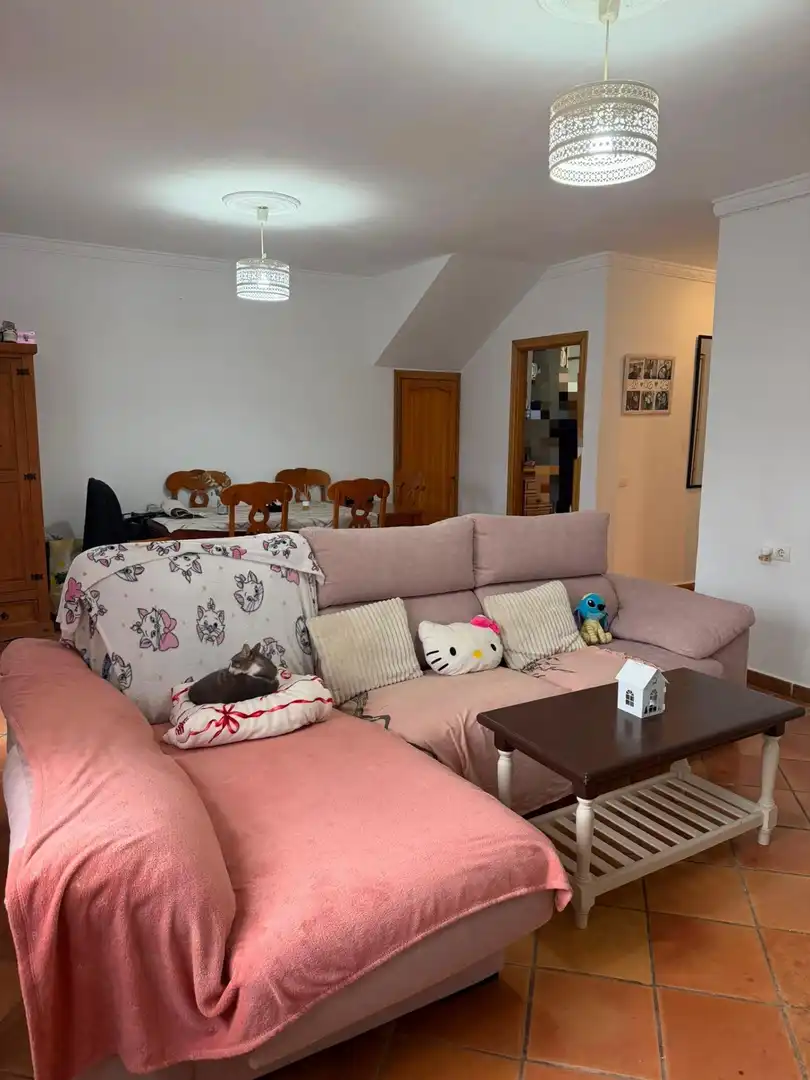 Wohnzimmer von Haus oder Chalet zum Verkauf in Sotogrande