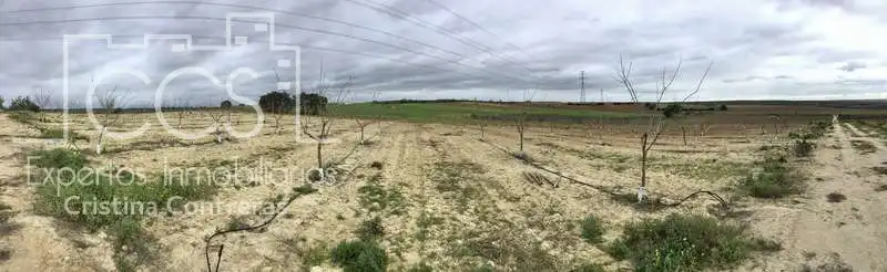 Terreno rústico en venta en Huévar del Aljarafe, imagen 15