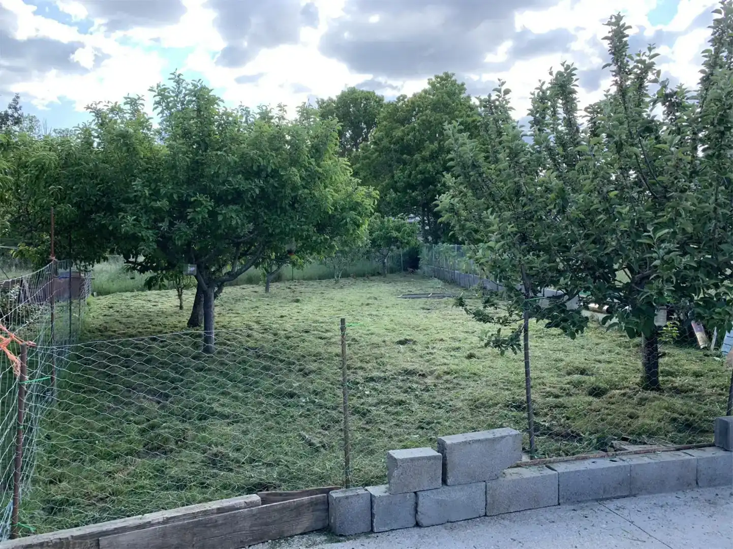 Houses for sale in A Pobra de Trives , Ourense